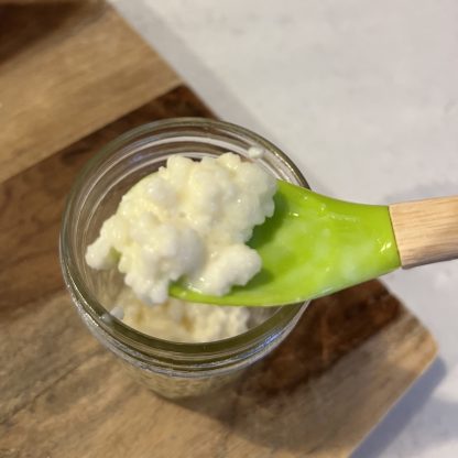 Kefir grains (Fresh)